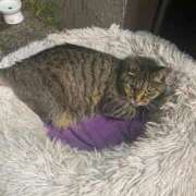 ヒメ日記 2026/04/15 10:49 投稿 のあ sweet kiss