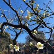 ヒメ日記 2025/02/13 15:04 投稿 ゆき 出会い系人妻ネットワーク 上野〜大塚編