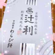 ヒメ日記 2025/07/07 14:54 投稿 ゆき 出会い系人妻ネットワーク 上野〜大塚編