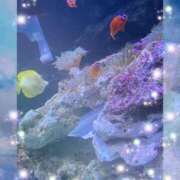 ヒメ日記 2025/08/21 09:33 投稿 ゆき 出会い系人妻ネットワーク 上野〜大塚編