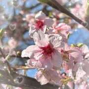 ヒメ日記 2026/03/09 07:22 投稿 ゆき 出会い系人妻ネットワーク 上野〜大塚編