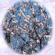 ヒメ日記 2026/03/16 15:11 投稿 ゆき 出会い系人妻ネットワーク 上野〜大塚編