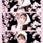 ヒメ日記 2026/03/20 07:50 投稿 きらら 人妻密会