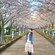 ヒメ日記 2026/04/02 23:51 投稿 きらら 人妻密会