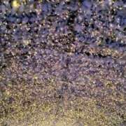 ヒメ日記 2025/02/02 18:00 投稿 うた 人妻密会