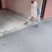 ヒメ日記 2025/04/04 07:10 投稿 うた 人妻密会