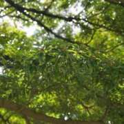 ヒメ日記 2025/06/07 14:10 投稿 うた 人妻密会