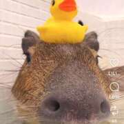 ヒメ日記 2025/11/28 23:50 投稿 うた 人妻密会