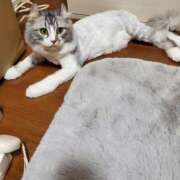 ヒメ日記 2025/12/22 11:10 投稿 うた 人妻密会