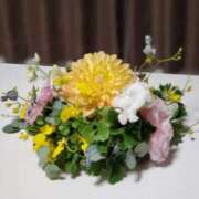 ヒメ日記 2025/12/23 06:10 投稿 うた 人妻密会