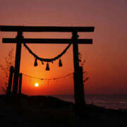 ヒメ日記 2025/12/31 11:30 投稿 うた 人妻密会