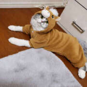 ヒメ日記 2026/01/02 22:10 投稿 うた 人妻密会