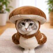 ヒメ日記 2026/01/29 12:00 投稿 うた 人妻密会