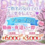 ヒメ日記 2024/04/08 08:19 投稿 れおな ウルトラドリーム