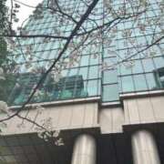 ヒメ日記 2025/03/16 00:06 投稿 守殿柚希 五十路マダム静岡店（カサブランカG）