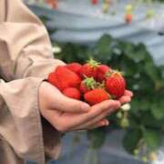 ヒメ日記 2025/01/28 14:01 投稿 マリン Club Hearts