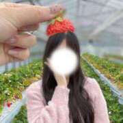 ヒメ日記 2025/04/15 12:03 投稿 マリン Club Hearts