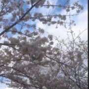 ヒメ日記 2025/05/14 04:05 投稿 マリン Club Hearts