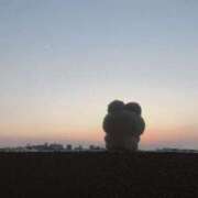 ヒメ日記 2025/06/08 00:47 投稿 マリン Club Hearts