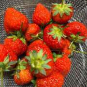 ヒメ日記 2025/06/15 02:03 投稿 マリン Club Hearts