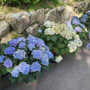 ヒメ日記 2025/06/24 00:50 投稿 マリン Club Hearts