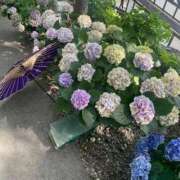 ヒメ日記 2025/06/25 13:36 投稿 マリン Club Hearts