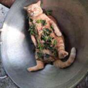 ヒメ日記 2025/07/21 00:08 投稿 マリン Club Hearts