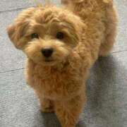 ヒメ日記 2025/08/07 00:24 投稿 マリン Club Hearts