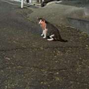 ヒメ日記 2025/08/24 02:14 投稿 マリン Club Hearts