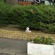 ヒメ日記 2025/09/09 00:36 投稿 マリン Club Hearts