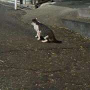 ヒメ日記 2025/09/20 01:41 投稿 マリン Club Hearts