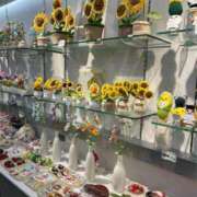 ヒメ日記 2025/11/11 16:09 投稿 マリン Club Hearts