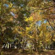 ヒメ日記 2025/11/30 14:23 投稿 マリン Club Hearts