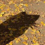 ヒメ日記 2025/12/03 00:31 投稿 マリン Club Hearts