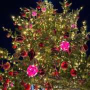 ヒメ日記 2025/12/14 22:12 投稿 マリン Club Hearts