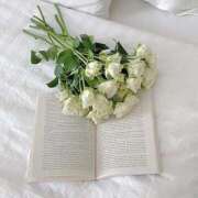 ヒメ日記 2024/12/07 23:21 投稿 新人・美緒(みお) グランドオペラ福岡