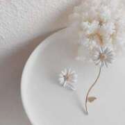 ヒメ日記 2024/12/08 09:44 投稿 新人・美緒(みお) グランドオペラ福岡