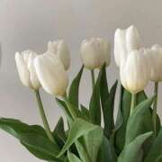 ヒメ日記 2024/12/08 13:05 投稿 新人・美緒(みお) グランドオペラ福岡