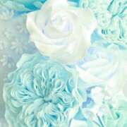 ヒメ日記 2025/03/11 22:56 投稿 新人・美緒(みお) グランドオペラ福岡