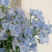 ヒメ日記 2025/04/17 18:02 投稿 新人・美緒(みお) グランドオペラ福岡