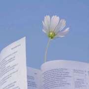 ヒメ日記 2025/04/17 22:31 投稿 新人・美緒(みお) グランドオペラ福岡