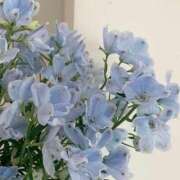 ヒメ日記 2025/06/12 10:22 投稿 新人・美緒(みお) グランドオペラ福岡