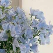 ヒメ日記 2025/11/25 20:30 投稿 新人・美緒(みお) グランドオペラ福岡