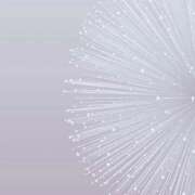 新人・美緒(みお) 先程の本指名J様 グランドオペラ福岡