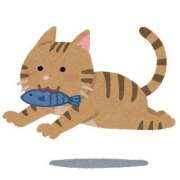 ヒメ日記 2025/05/03 18:51 投稿 白石 まい RAO-ラオウ-