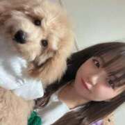 ヒメ日記 2025/01/09 01:06 投稿 あまね ドMな逆バニーちゃん　すすきの店