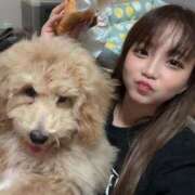 ヒメ日記 2025/01/11 09:26 投稿 あまね ドMな逆バニーちゃん　すすきの店