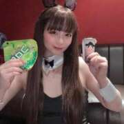 ヒメ日記 2025/04/04 22:33 投稿 あまね ドMな逆バニーちゃん　すすきの店