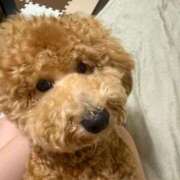 ヒメ日記 2025/08/07 06:26 投稿 あまね ドMな逆バニーちゃん　すすきの店