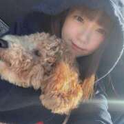 ヒメ日記 2025/10/20 17:26 投稿 あまね ドMな逆バニーちゃん　すすきの店